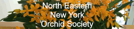 Northeastern New York Orchid Society