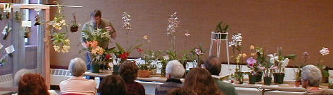 Show Table at an MHOS meeting